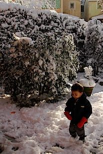 DSC_0560.jpg