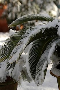 DSC_0562.jpg