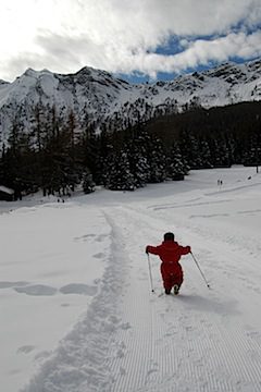 DSC_0666.jpg