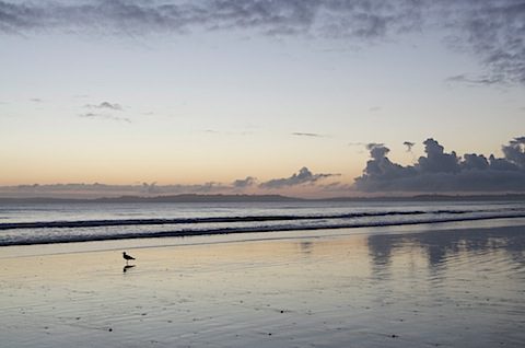 DSC_0053
