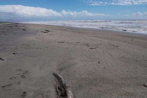 DSC_0448.jpg