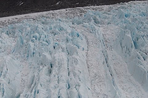 DSC_0560.jpg