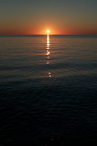DSC_0453.NEF